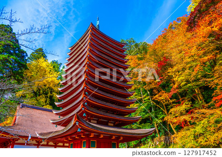 潭靖國神社為秋天 127917452