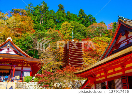 潭靖國神社為秋天 127917456