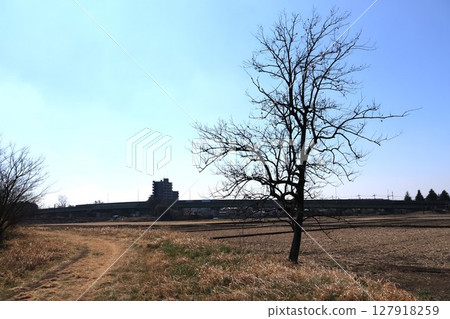 Scenery of tile roof of Ageo city Saitama prefecture 127918259