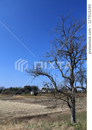 Scenery of tile roof of Ageo city Saitama prefecture 127918260