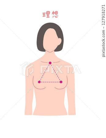 Beautiful bust shape female upper body illustration material Beautiful bust shape female upper body illustration material 127918271