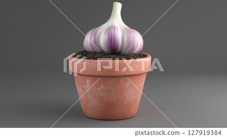 Garlic vegetable clay pot and soil miniature house plant botanical decoration 127919384