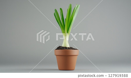 Leek vegetable clay pot and soil miniature house plant botanical decoration 127919388