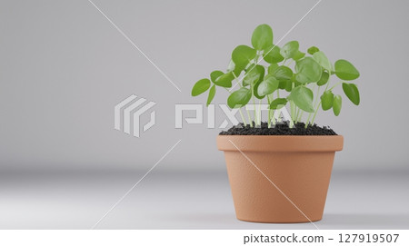 Peas sprout tree vegetable clay pot and soil miniature house plant botanical decoration Peas sprout tree vegetable clay pot and soil miniature house plant botanical decoration 127919507