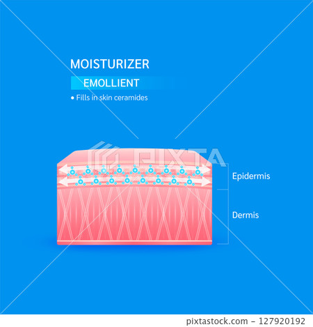 Moisturizer emollient. Fills in skin ceramides helps keep skin moisture youthful. Collagen solution and hyaluronic acid serum. For cosmetic advertising medical beauty. Vector EPS10. 127920192