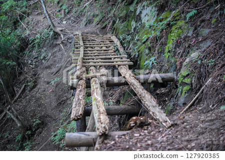 The decaying wooden bridge on Ishione The decaying wooden bridge on Ishione 127920385