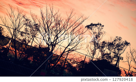 View of sunset 127920418