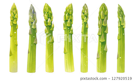 Illustration of asparagus lined up on transparent background (png) 127920519