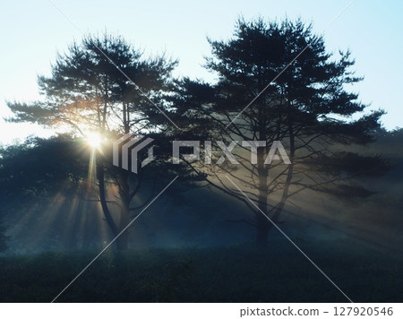 夏日草地上的日出（20250629053238） 127920546