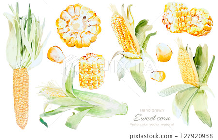 水彩玉米向量插圖集 127920938