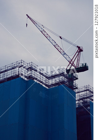Scenery with a crane Scenery with a crane 127921018