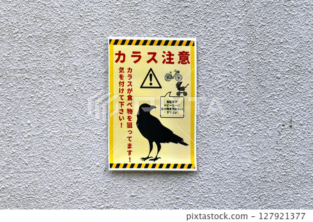 日本橫濱的街景。小心烏鴉！它們正在搶食物！小心！ =橫濱市 127921377