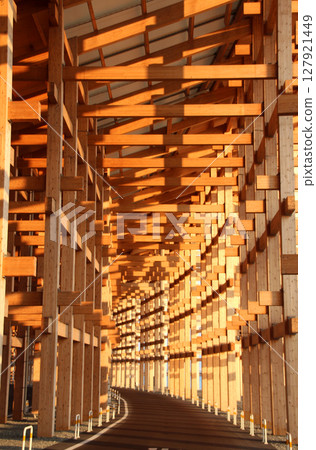 The world's largest wooden structure: the large roof ring of the Osaka Kansai Expo 127921449