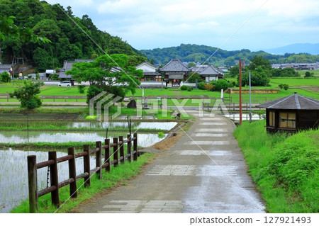 明日香村:河原寺遺址、興福寺及鄉村風光 明日香村:河原寺遺址、興福寺及鄉村風光 127921493