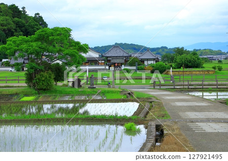 Asuka Village: Kawaharadera Temple Site, Kofukuji Temple and Rural Scenery Asuka Village: Kawaharadera Temple Site, Kofukuji Temple and Rural Scenery 127921495