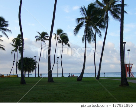 Honolulu, North Shore, Hawaii 127921890