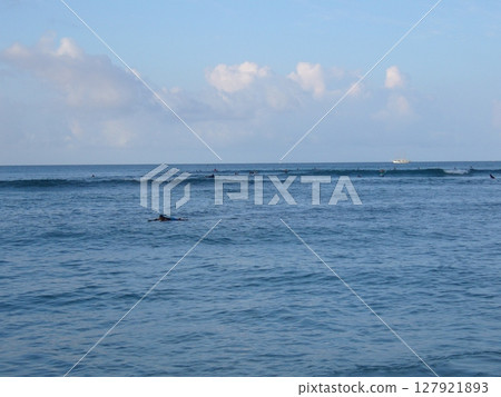 Honolulu, North Shore, Hawaii 127921893