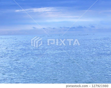 Hawaii North Shore 127921980