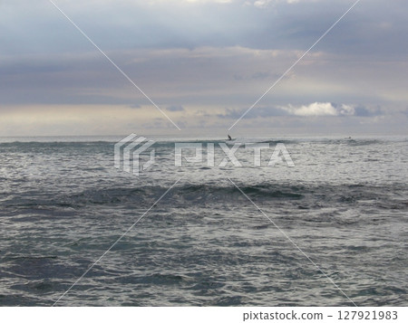 夏威夷北岸 夏威夷北岸 127921983