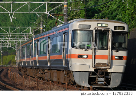 A 313 series Tokaido Line local train running in the morning sun 127922333