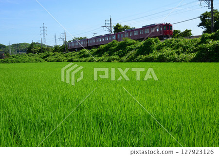 The Yoro Railway runs through the dazzling green countryside of early summer 127923126
