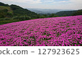 矮牽牛山 127923625