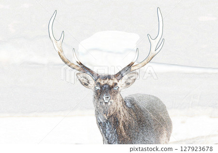 “蝦夷鹿”插圖 127923678