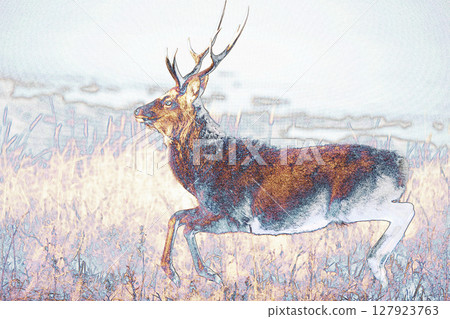 「奔跑在草原上的蝦夷鹿」插圖圖片 奔跑在草原上的蝦夷鹿 127923763