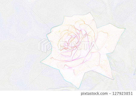 "Red rose flower" illustration image 127923851