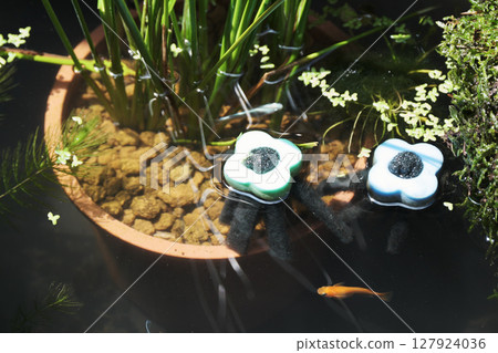 產卵場和鱂魚 產卵場和鱂魚 127924036