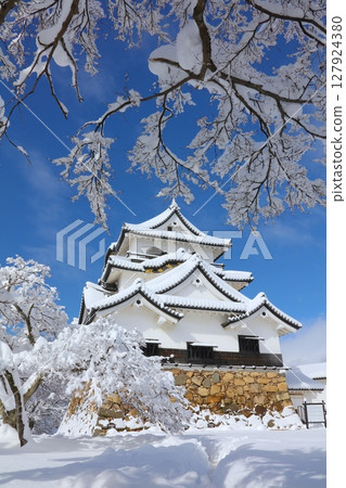 國寶彥根城 - 天守閣的雪景 / 最冷的一天 / 日本百座名城 / 日本百處最佳音景 / 琵琶湖國定公園 127924380