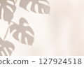 Monstera silhouette against a beige background 127924518