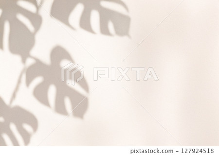 米色背景下的龜背竹剪影 127924518