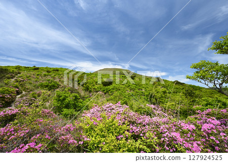 中嶽山與宮切花 中嶽山與宮切花 127924525