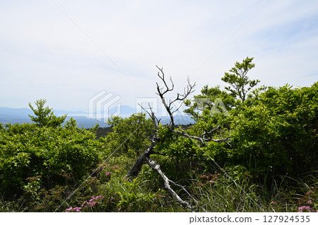 A peaceful view from Mt. Nakadake 127924535