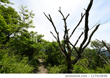 Climbing Mt. Nakadake 127924696
