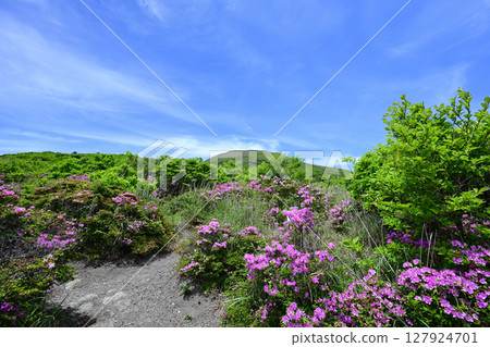 宮山霧花盛開的美麗登山 127924701