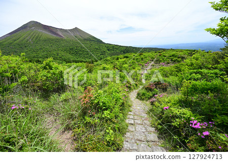 霧島的健行步道綿延無盡 霧島的健行步道綿延無盡 127924713