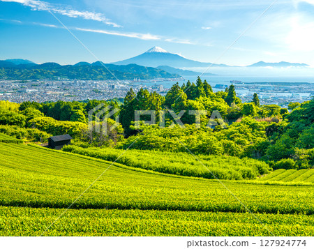 從日本平眺望茶田、清水港和富士山 127924774