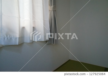 Mirror lace curtain 127925064