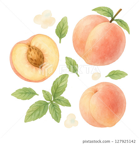 White peach and herb leaf natural material watercolor cutout 127925142
