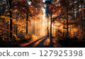 Golden autumn forest, sunny path 127925398