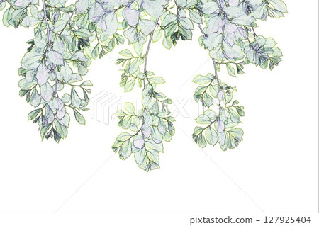 "Leaves background material" illustration image "Leaves background material" illustration image 127925404