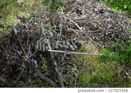 Trees collected by felling and pruning Trees collected by felling and pruning 127925508