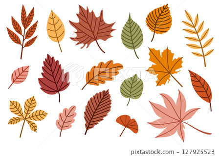 Bright set of colorful autumn leaves in vector style Bright set of colorful autumn leaves in vector style 127925523