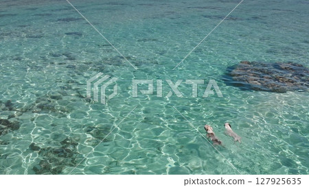 Two divers glide gracefully through crystal-clear waters, surrounded by coral reefs and colorful fish. The sunlight illuminates the serene underwater landscape, enhancing the experience. Two divers glide gracefully through crystal-clear waters, surrounded by coral reefs and colorful fish. The sunlight illuminates the serene underwater landscape, enhancing the experience. 127925635
