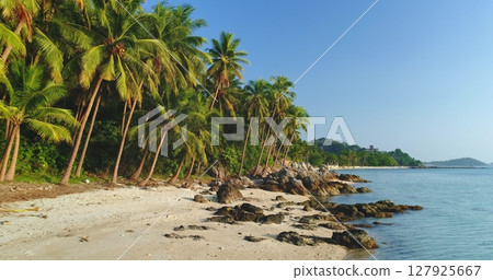 Tropical beach with palm trees rising on the white sand and rocks on the shore of Koh Samui, Thailand, bathed in sunlight with crystal-clear turquoise water 127925667