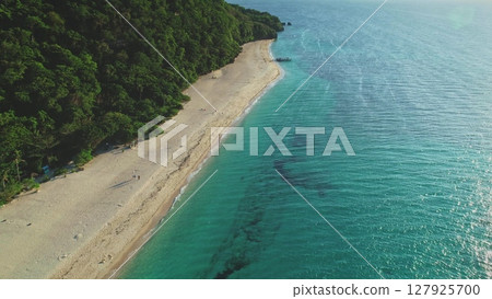 Capturing aerial drone footage of a tropical beach merging with turquoise waters on a sunny day, surrounded by lush green forests covering the nearby hills and coastline 127925700