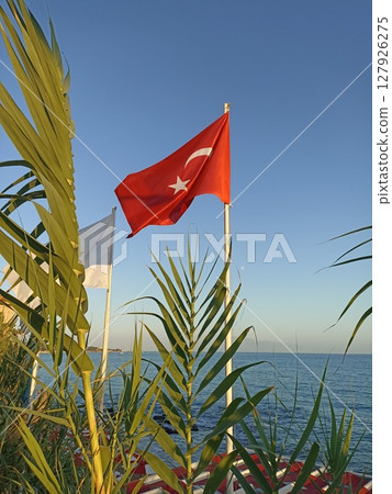 The Turkish flag flutters in the wind over the sea among the green leaves of palm trees. 127926275