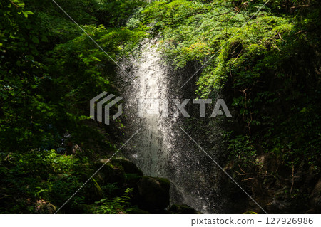 Shirafuji Falls, a midsummer valley Shirafuji Falls, a midsummer valley 127926986